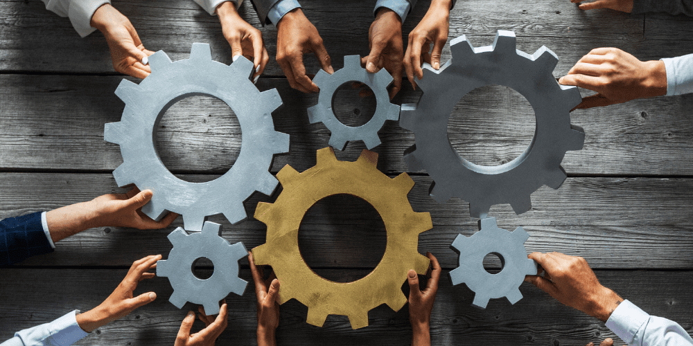 Process Digitization & Automation